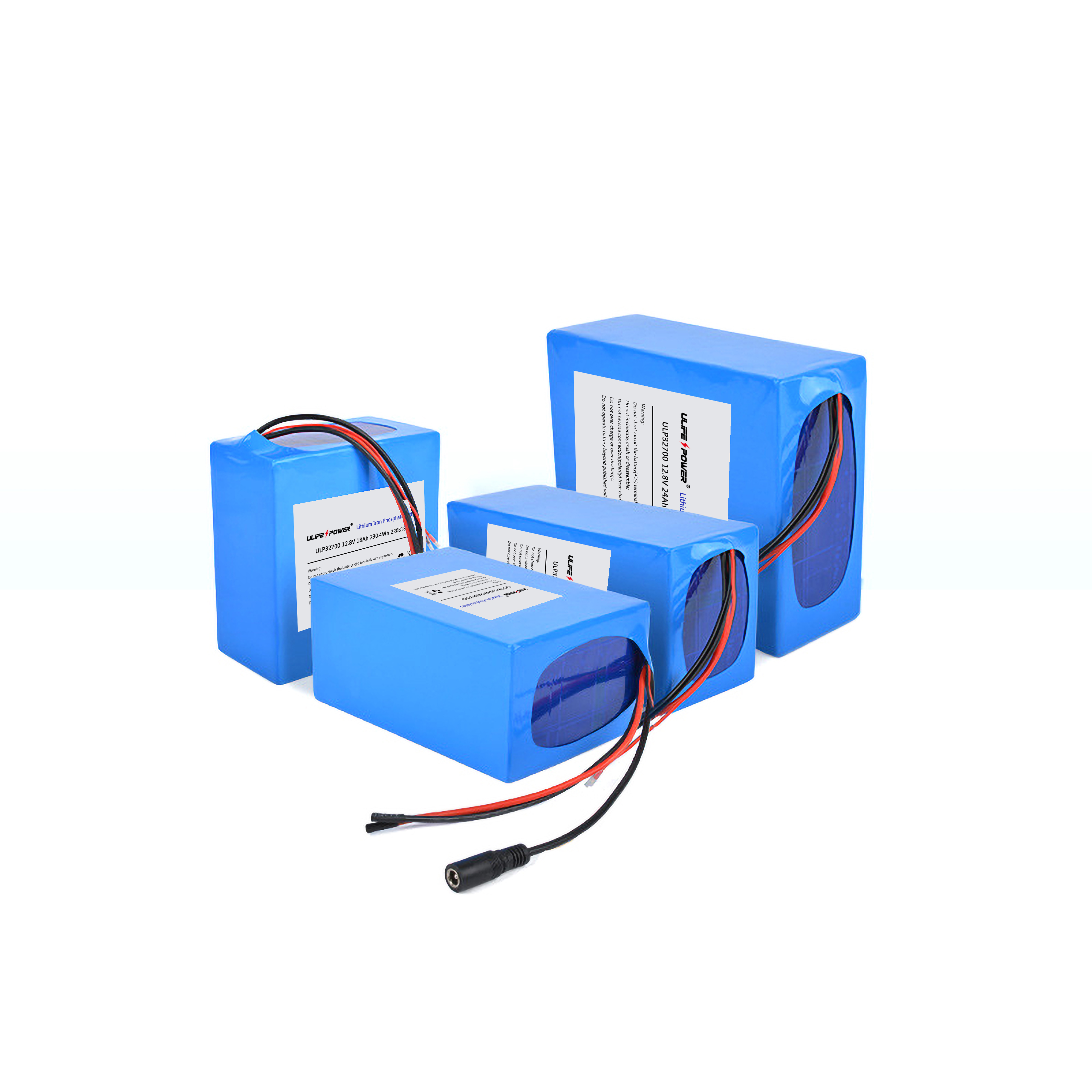 12v 24v lifepo4 battery pack.jpg